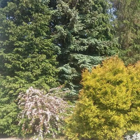 Bukowe Zacisze * Gąski