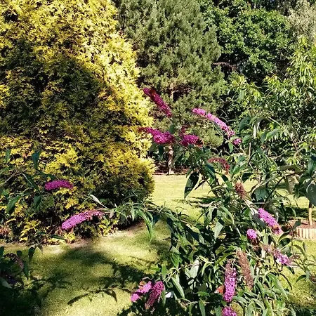 Homestay szállás Bukowe Zacisze Gąski