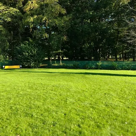 Bukowe Zacisze * Gąski