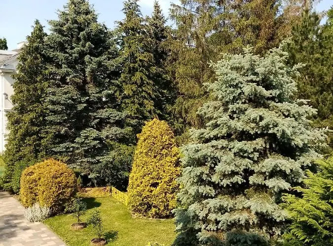 Bukowe Zacisze Проживание в семье Гонски