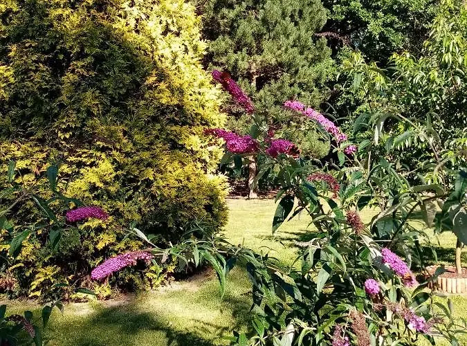 Проживание в семье Bukowe Zacisze Гонски