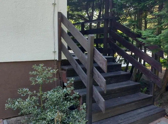 Bukowe Zacisze Гонски